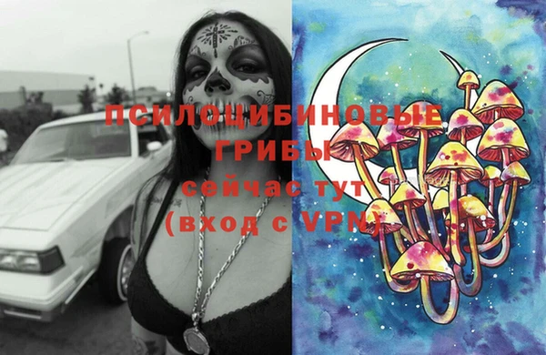 дживик Вязьма