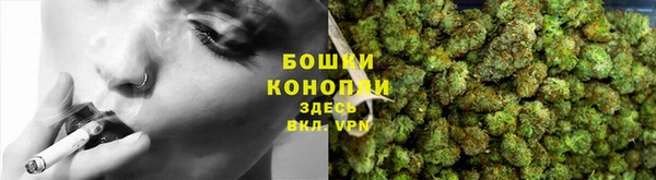 прущие крисы Горняк