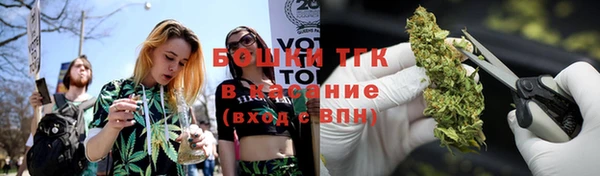 ПСИЛОЦИБИНОВЫЕ ГРИБЫ Вязники