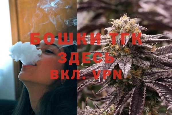 ПСИЛОЦИБИНОВЫЕ ГРИБЫ Вязники