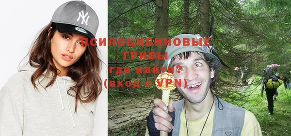прущие крисы Горняк