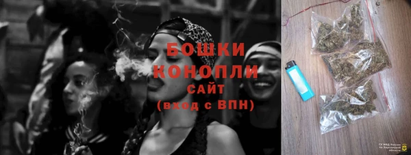 ПСИЛОЦИБИНОВЫЕ ГРИБЫ Вязники
