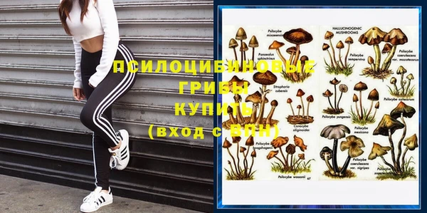 дживик Вязьма