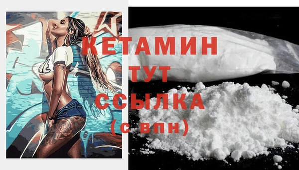 спиды Вяземский