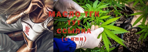 спиды Вяземский