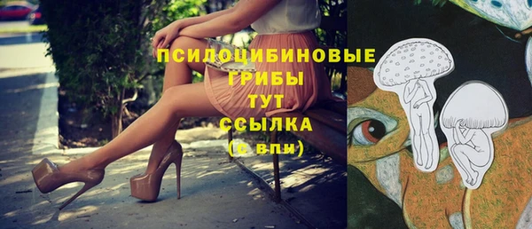 гашиш Горнозаводск