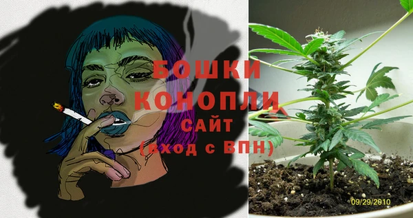 спиды Вяземский