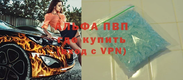ПСИЛОЦИБИНОВЫЕ ГРИБЫ Вязники