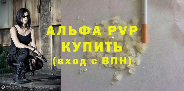спиды Вяземский