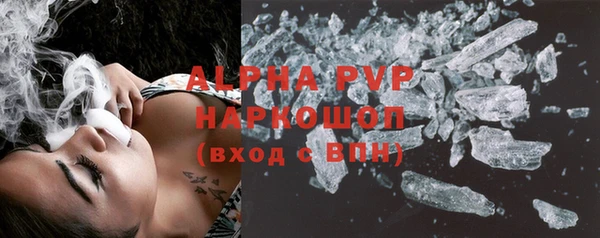 спиды Вяземский