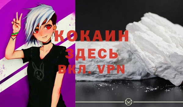 дживик Вязьма