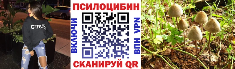 купить   Первоуральск  Галлюциногенные грибы мухоморы 